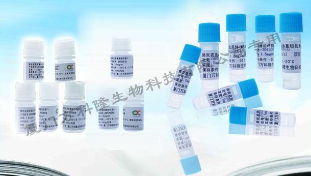 戊型肝炎類病毒(HEV)重組抗原